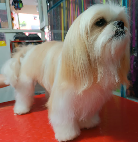 Pet Shop - Veterinaria "A&D" - Peluquería canina comida para mascotas - Peluquería