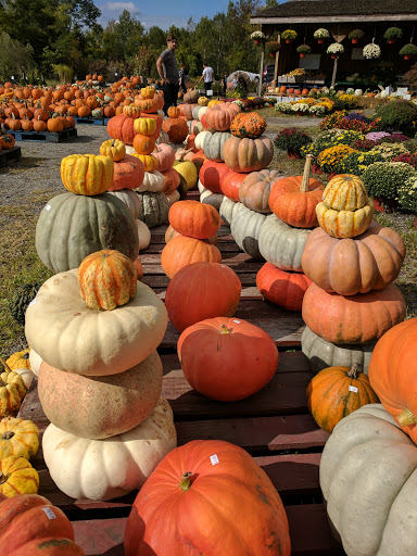 Produce Market «The Bigsby Market», reviews and photos, 1418 Dryden Rd, Freeville, NY 13068, USA