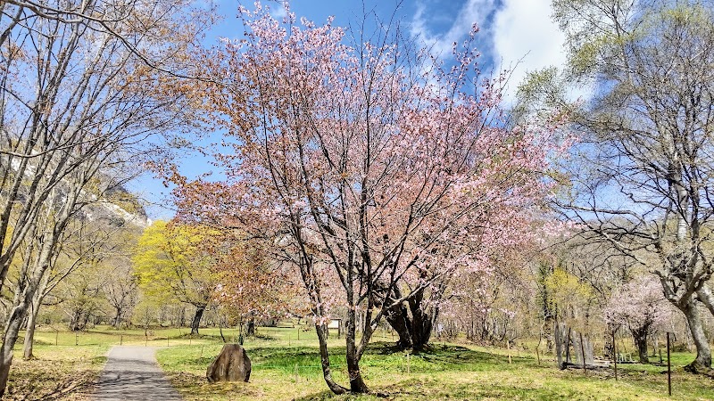 五地蔵桜 石碑