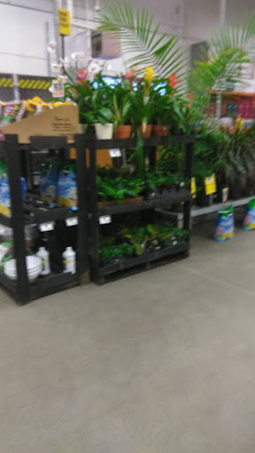 Supermarket «Piggly Wiggly Jackson», reviews and photos, 225 Meadowbrook Rd, Jackson, MS 39206, USA