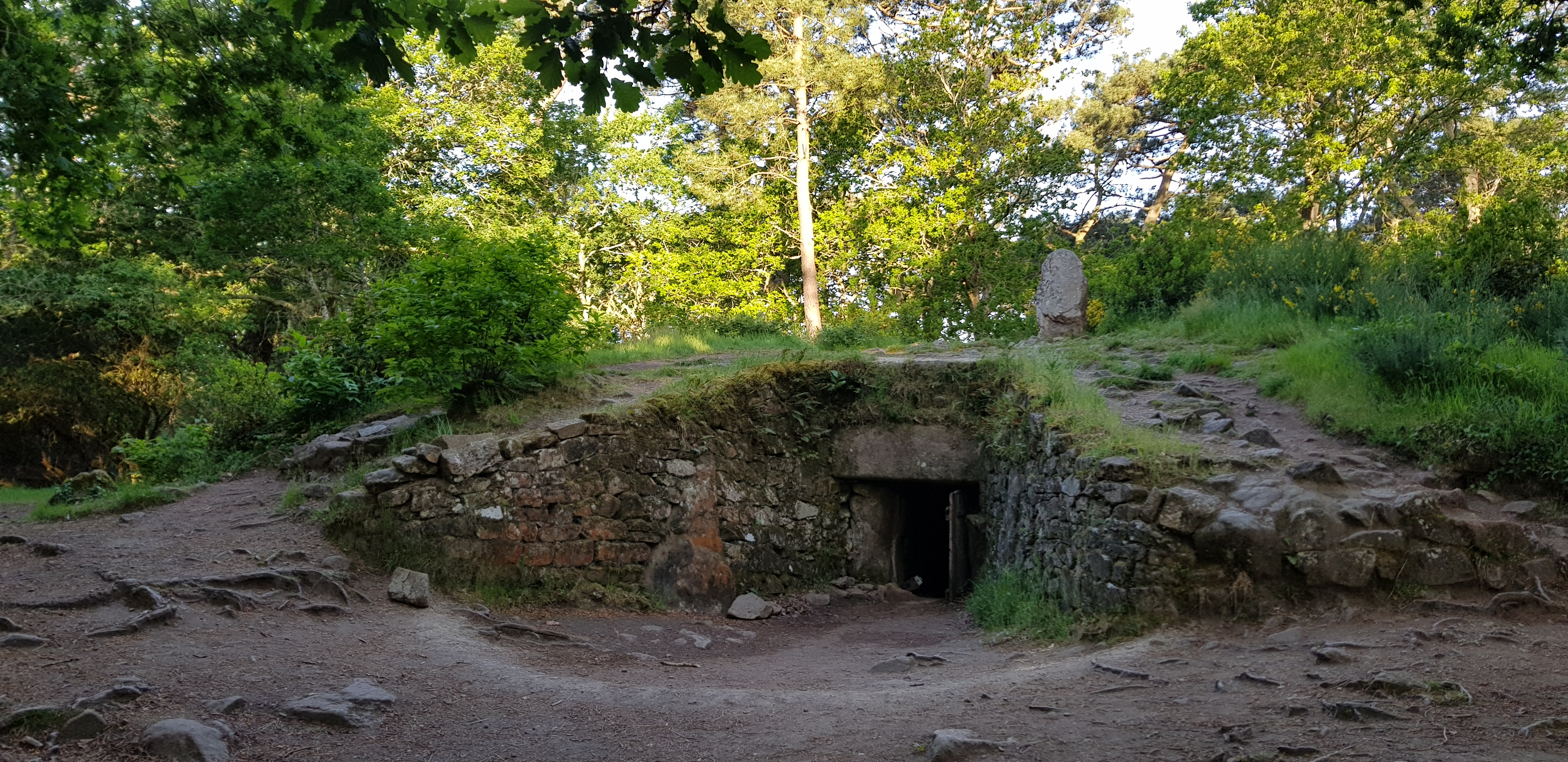 Photo n° 1 de l'avis de Conrad.l fait le 09/05/2018 à 19:04