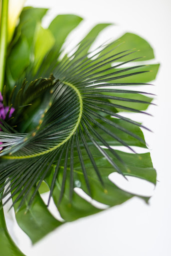 Florist «Buckhead Florist», reviews and photos, 3333 Peachtree Rd NE #100, Atlanta, GA 30326, USA