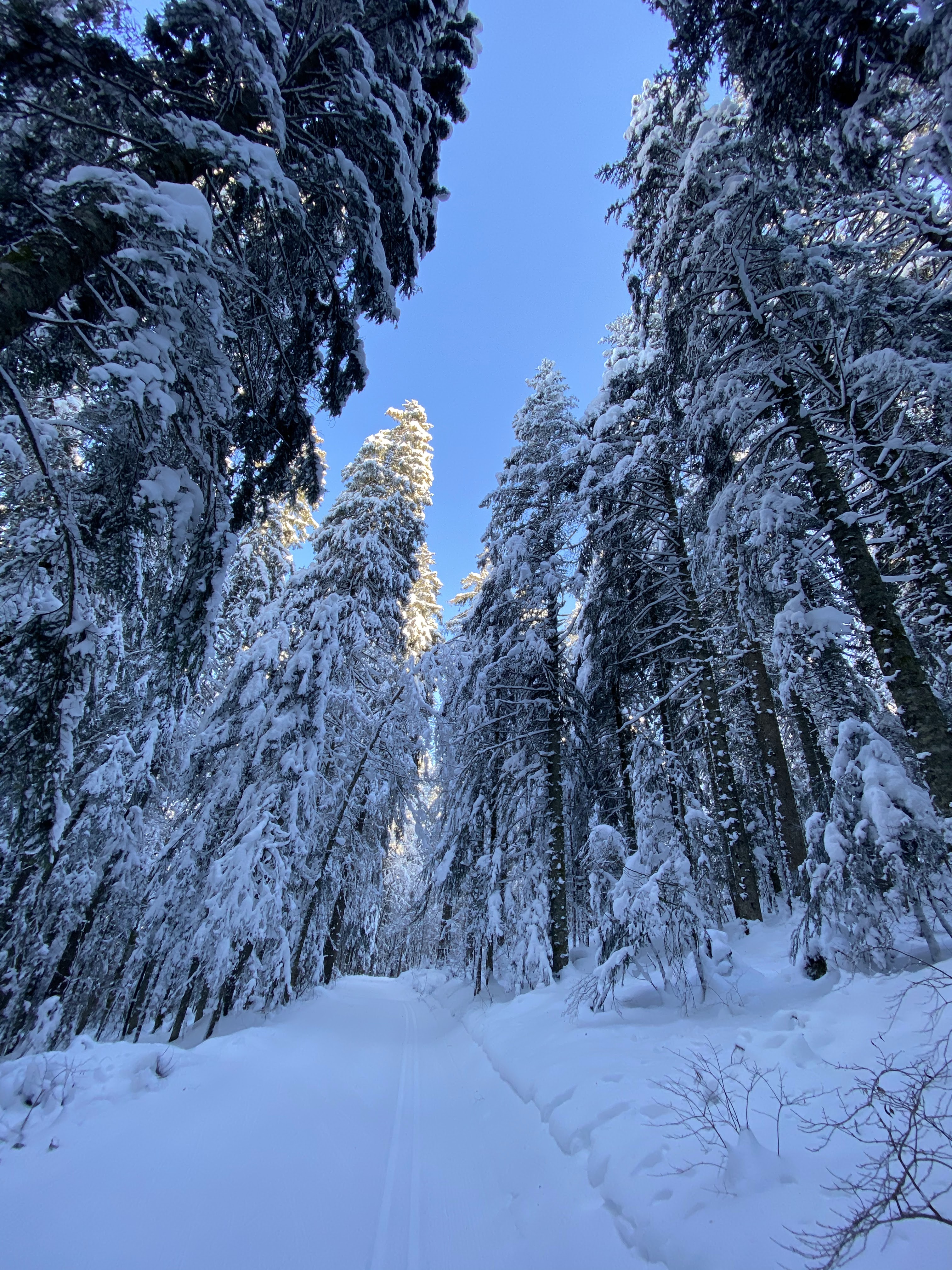 Photo n° 4 de l'avis de yas. fait le 29/12/2019 à 06:47