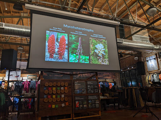 Clothing Store «Patagonia Outlet Reno», reviews and photos, 130 S Center St, Reno, NV 89501, USA