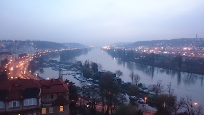 Photos of Vy&scaron;ehrad Cemetery