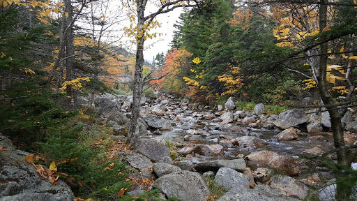 Home Improvement Store «The Home Depot», reviews and photos, 20 Farber Dr, Bellport, NY 11713, USA