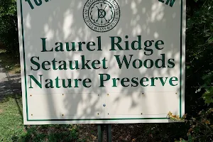 Laurel Ridge Setauket Woods Nature Preserve image