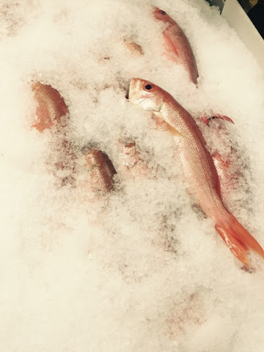 Grocery Store «New Century Oriental Food Supermarket», reviews and photos, 4500 N Tryon St, Charlotte, NC 28213, USA