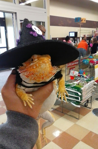 Pet Supply Store «Petco Animal Supplies», reviews and photos, 1080 Washington Square Center, Washington, MO 63090, USA