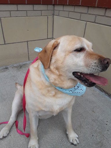 Pet Supply Store «PetSmart», reviews and photos, 742 S Meadow St, Ithaca, NY 14850, USA