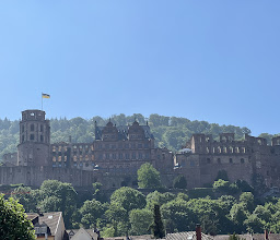 Weisse Flotte Heidelberg GmbH + Co. KG photo