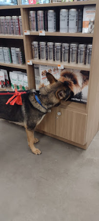 Petco - Photo 5 - Car repair in South Weymouth, MA, Brockton