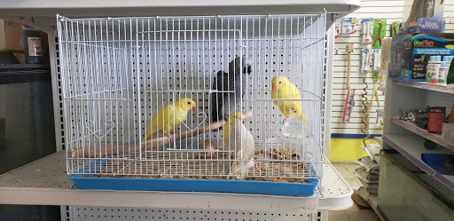 Pet Store «The Amazon Pet Store», reviews and photos, 2936 Del Prado Blvd, Cape Coral, FL 33904, USA