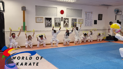 Karate club