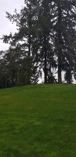 Performing Arts Theater «Bellevue Youth Theatre - Crossroads», reviews and photos, 16051 NE 10th St, Bellevue, WA 98008, USA