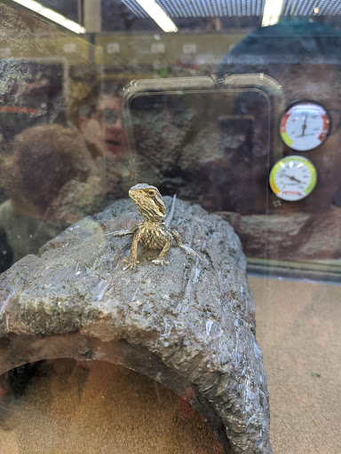 Pet Supply Store «Petco Animal Supplies», reviews and photos, 1015 Fording Island Rd, Bluffton, SC 29910, USA