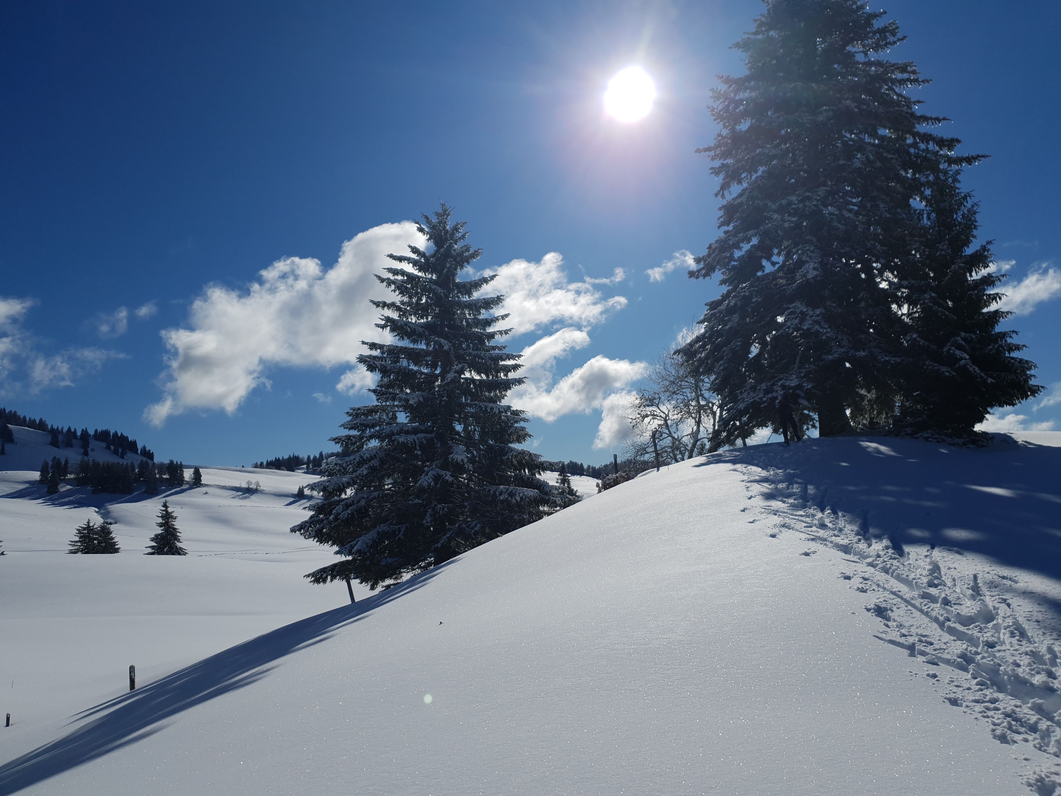 Photo n° 1 de l'avis de Sarah.o fait le 05/02/2019 à 16:25