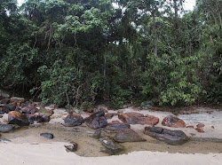Photo de Petite plage de Camburi situé dans une zone naturelle