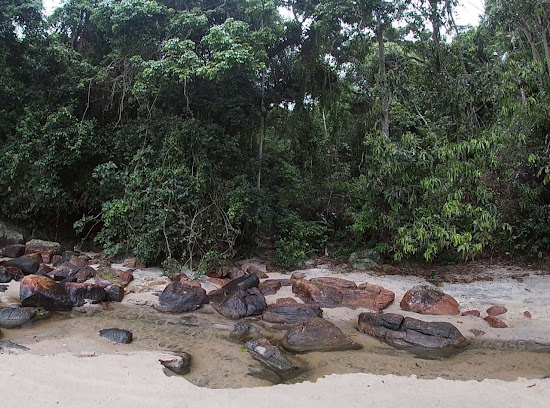 Camburi Kleiner Strand