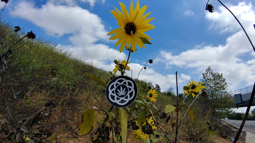 Tobacco Shop «Up In Smoke (Bong Shop)», reviews and photos, 1466 E Foothill Blvd, Upland, CA 91786, USA