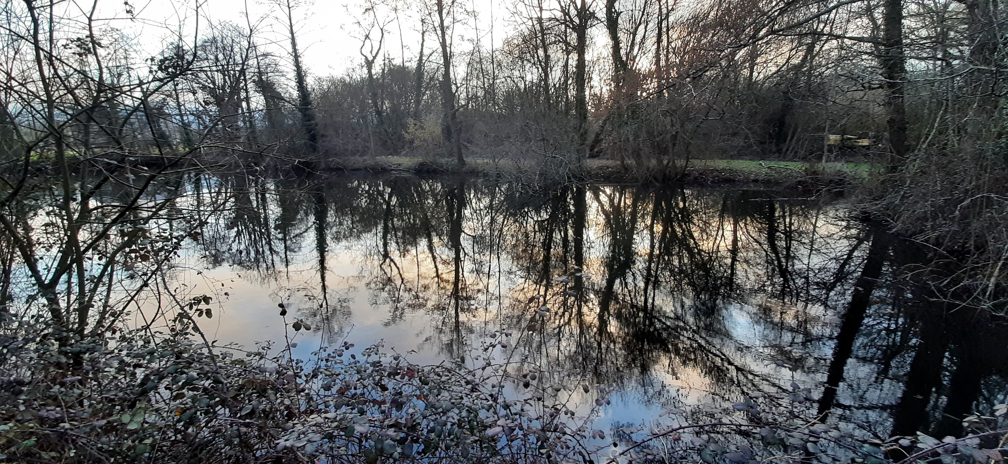 Photo n° 13 de l'avis de balouin.r fait le 11/03/2023 à 00:21