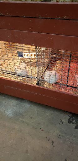 Hardware Store «Buchheit of House Springs», reviews and photos, 4550 Gravois Rd, House Springs, MO 63051, USA