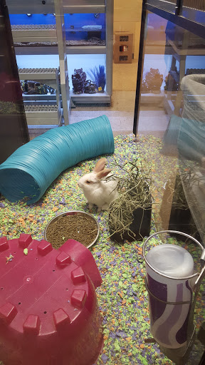 Pet Supply Store «PetSmart», reviews and photos, 1559 Merritt Blvd, Dundalk, MD 21222, USA
