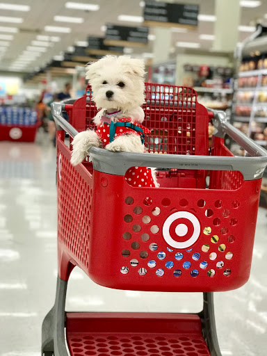 Department Store «Target», reviews and photos, 6100 Arlington Blvd, Falls Church, VA 22044, USA