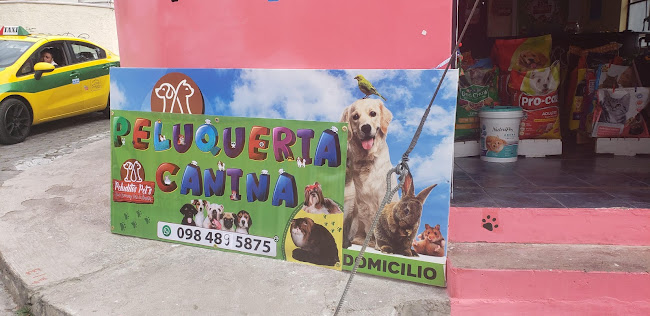 Peluqueria Canina, Peluditos Pets & Spa & groomingg - Quito