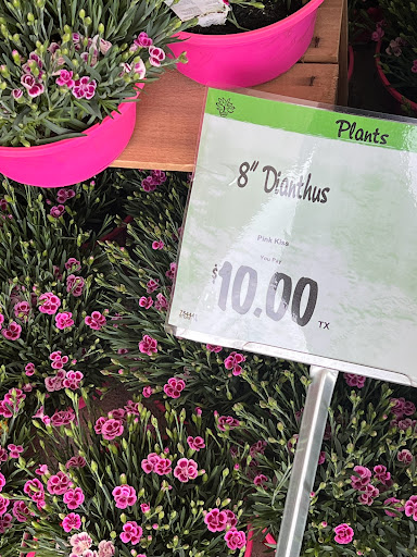 Supermarket «Wegmans», reviews and photos, 1315 Scranton Carbondale Hwy, Scranton, PA 18505, USA