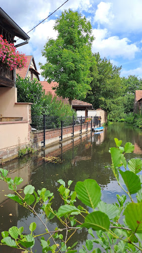 Parc de la MS à Strasbourg