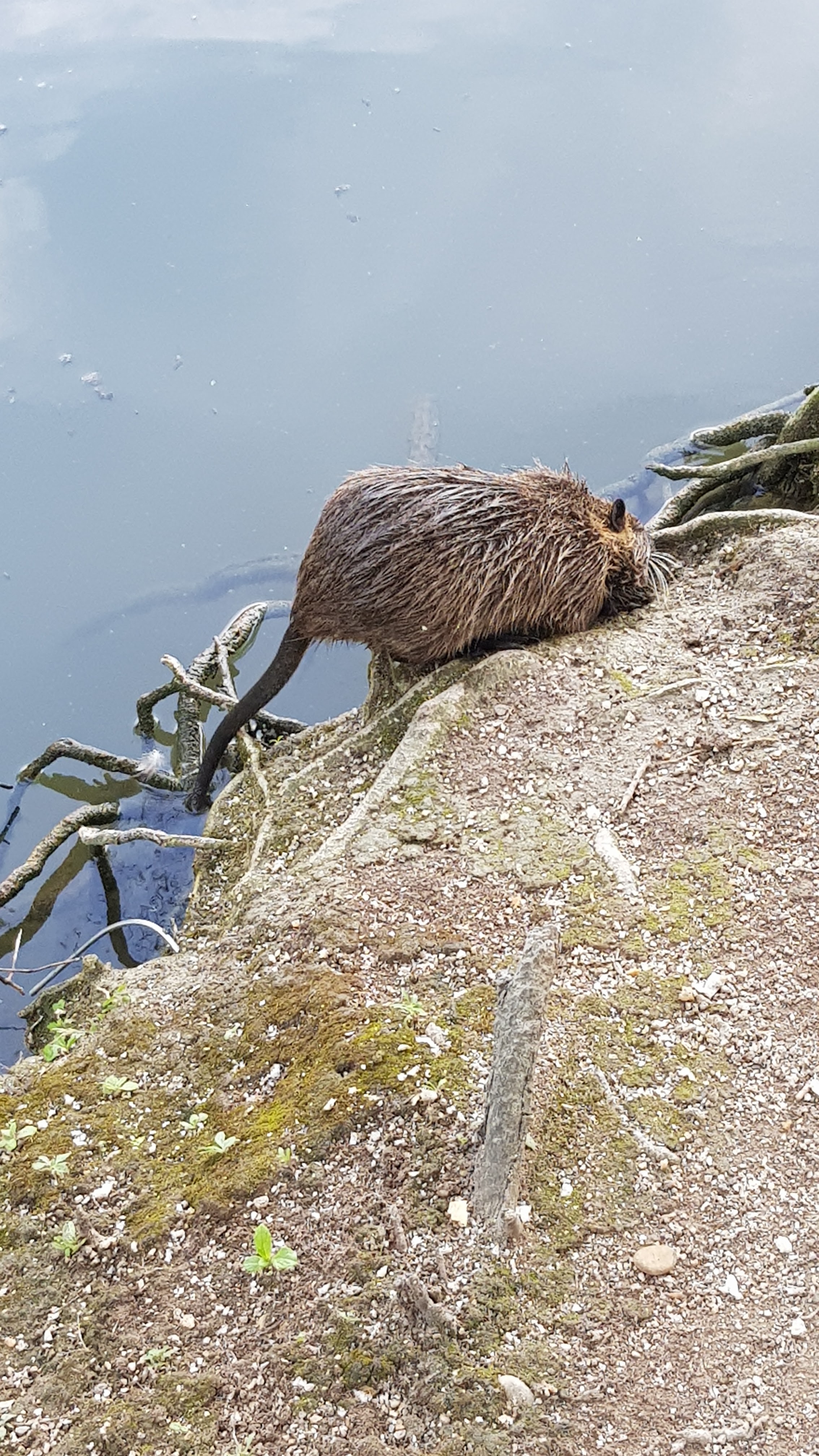 Photo n° 5 de l'avis de Marie.o fait le 30/08/2018 à 15:28