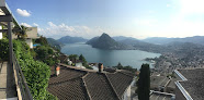 Lugano Lake, nido del cigno Como