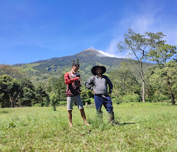 Bukit Krapyak photo