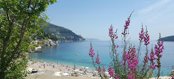 Vila beach'in fotoğrafı #43 ile birlikte