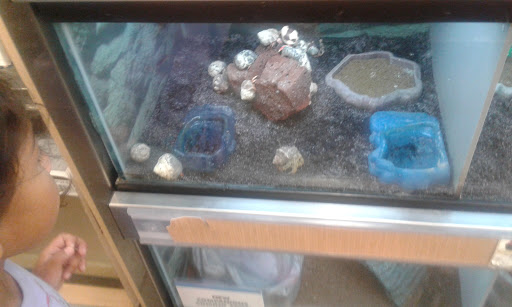 Pet Supply Store «Petco Animal Supplies», reviews and photos, 3430 W State St, Grand Island, NE 68803, USA