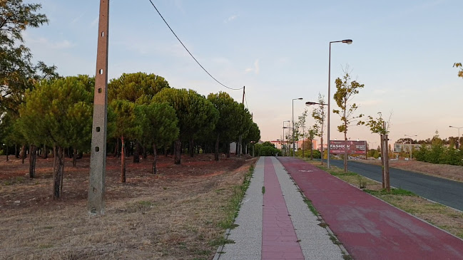 Associação de Ciclismo - Castelo Branco