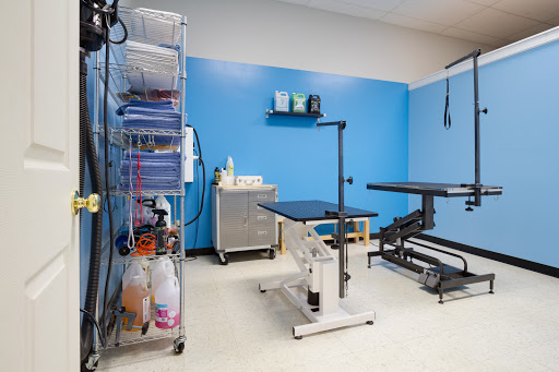 Pet Store «Dog Wash Etc», reviews and photos, 1037 Forest Ave, Portland, ME 04103, USA