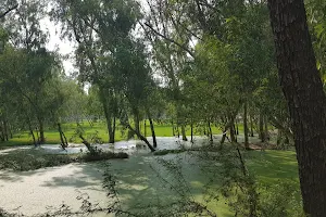 Khanpur Canal image