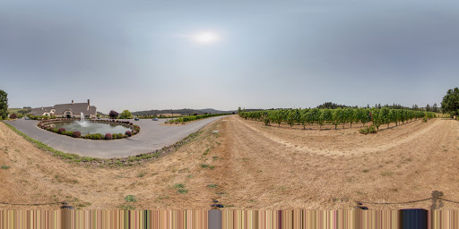Winery «Zenith Vineyard», reviews and photos, 5657 Zena Rd NW, Salem, OR 97304, USA