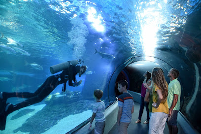 Maui Ocean Center, The Aquarium of Hawaii