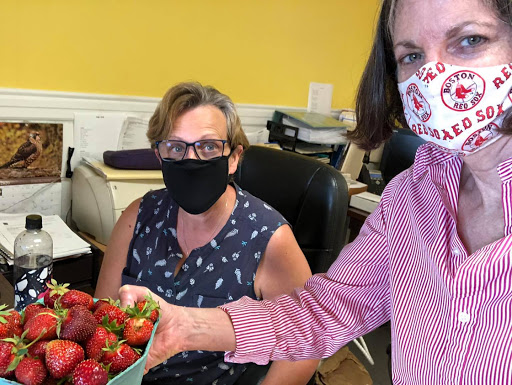 Insurance Agency «Allstate Insurance Agent: Amy Alward», reviews and photos