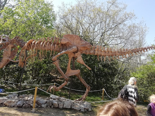 attractions Muséum de l'Ardèche - Fossiles et dinosaures - Musée et activités Balazuc