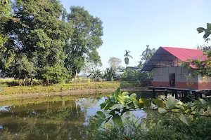 গ্ৰাম্যানুভূতি Gramyanubhuti village tourism image
