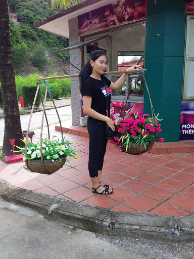 Top 7 biển cửa hàng psd Huyện Mường Chà Điện Biên 2022