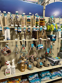 PetSmart - Photo 1 - Car repair in Redding, CA, Redding