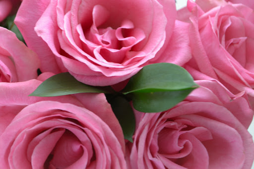 Shopping Mall «Woodmoor Shopping Center», reviews and photos, 10115 Colesville Rd, Silver Spring, MD 20901, USA