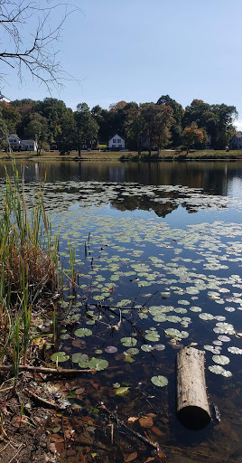 Tourist Attraction «Governor Ames Estate», reviews and photos, 35 Oliver St, North Easton, MA 02356, USA