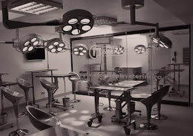 Centru de Endoscopie si Chirurgie Minim InvazivaVeterinara