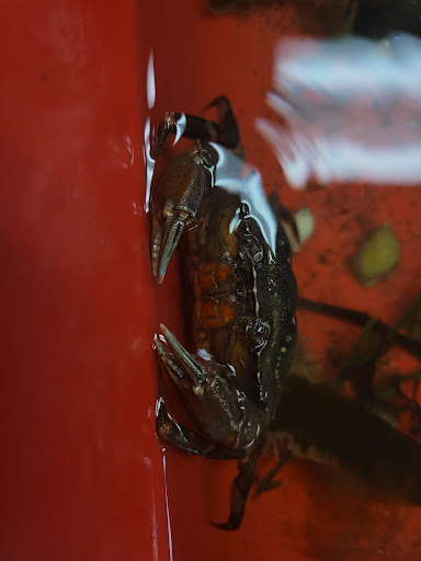 Aquarium «Explore the Ocean World, llc Oceanarium», reviews and photos, 367 Ocean Blvd, Hampton, NH 03842, USA